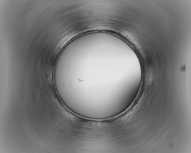 X0000089971273200707271914