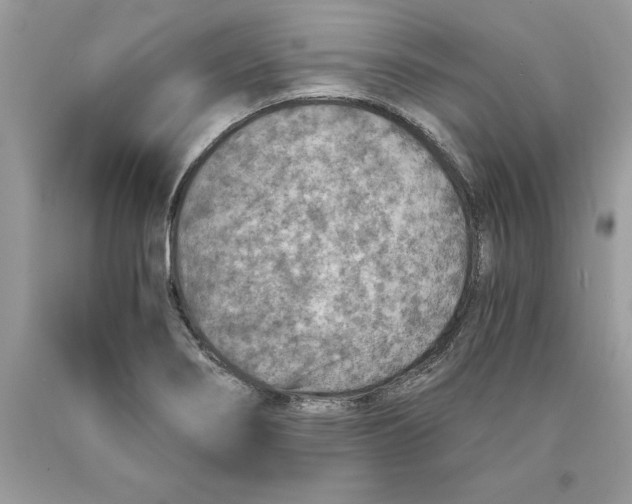 X0000089971274200707271914