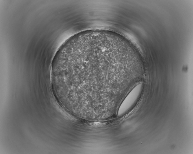 X0000089971275200707271914