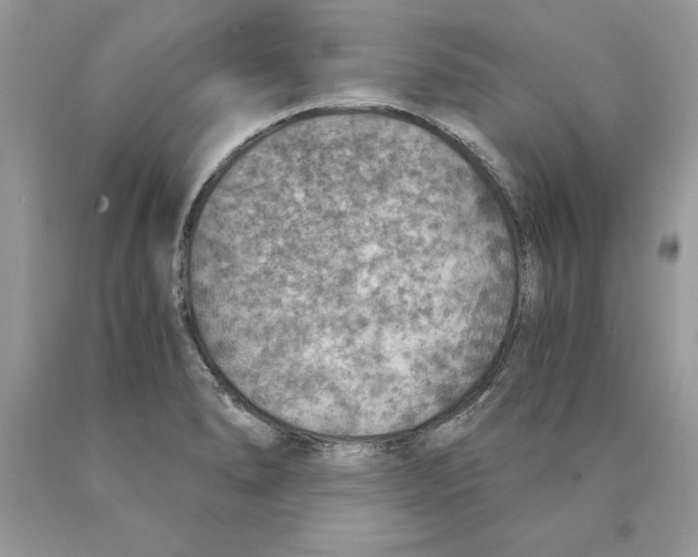 X0000089971278200707271914