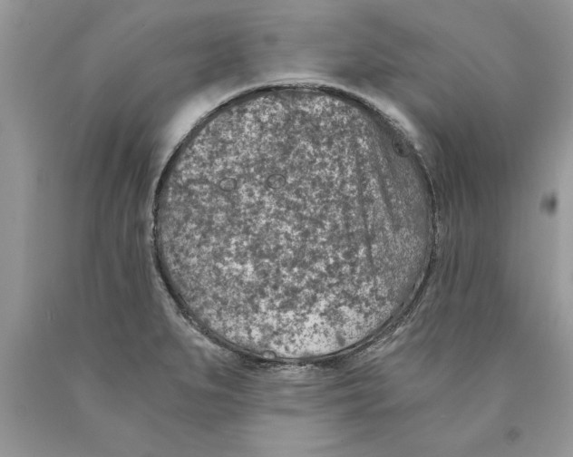 X0000089971279200707271914