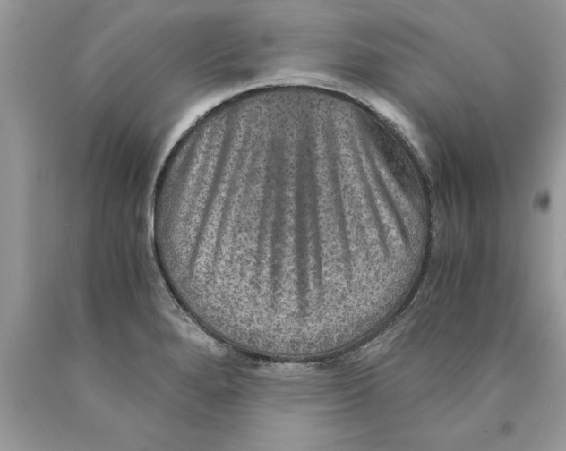 X0000089971280200707271914