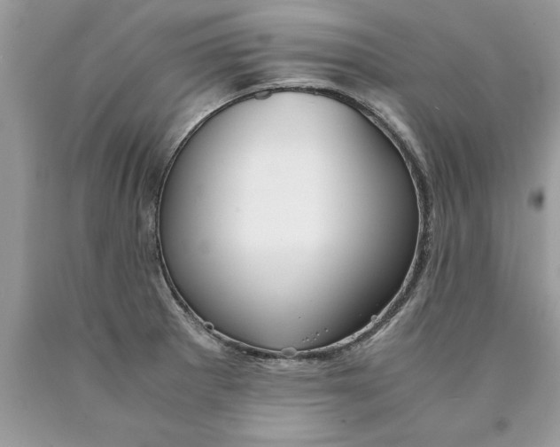 X0000089971281200707271914