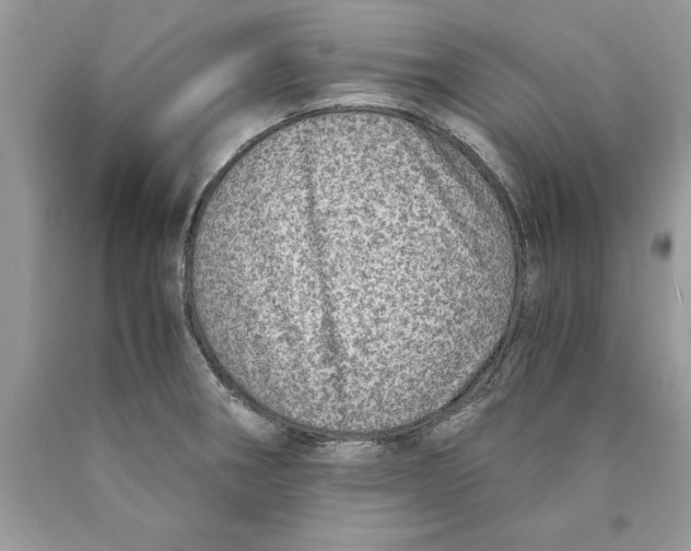 X0000089971282200707271914