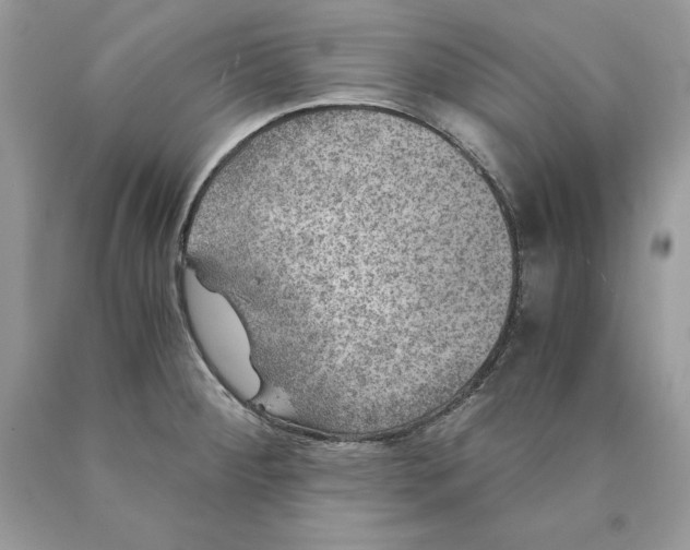 X0000089971284200707271914