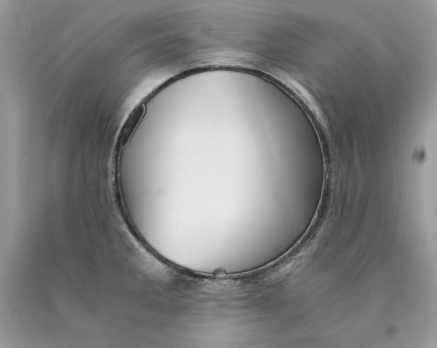 X0000089971285200707271914