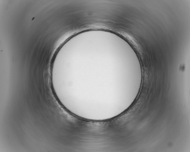 X0000089971286200707271914