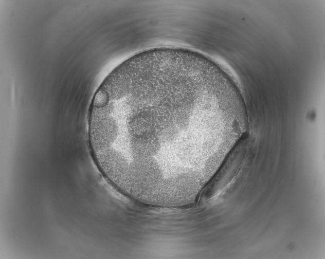 X0000089971287200707271914