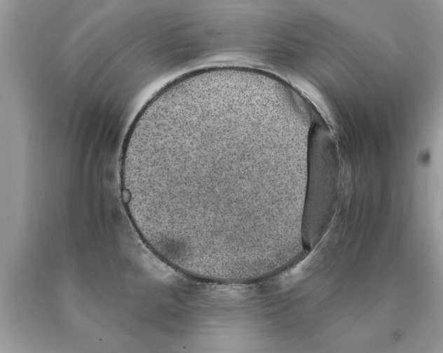 X0000089971288200707271914