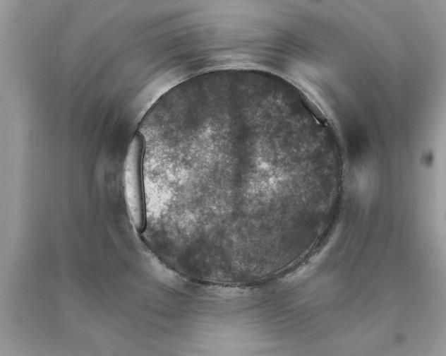 X0000089971289200707271914