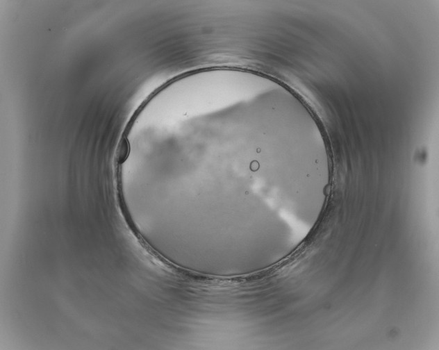 X0000089971291200707271914