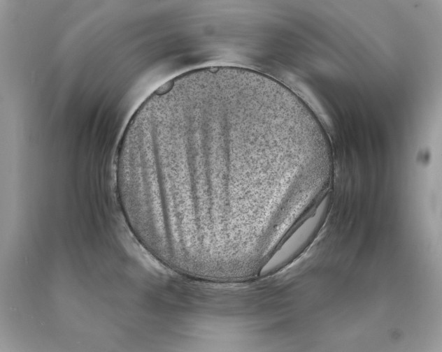 X0000089971292200707271914