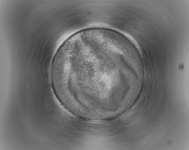 X0000089971295200707271914