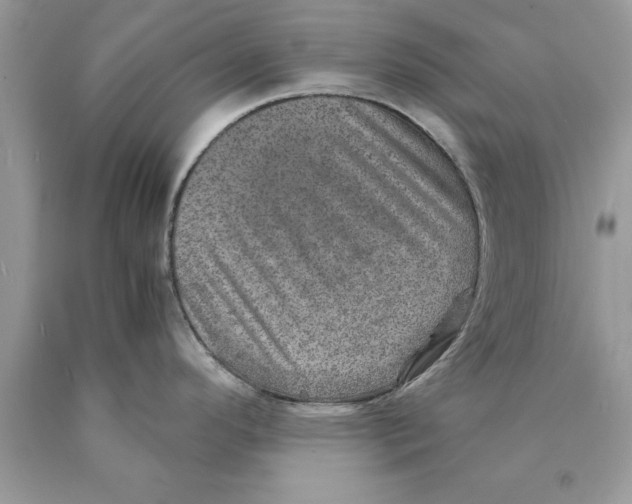 X0000089971296200707271914