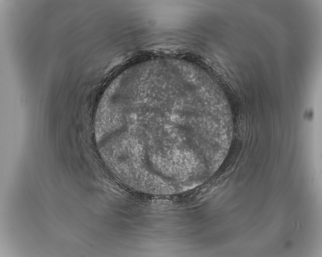 X0000089971297200707271913