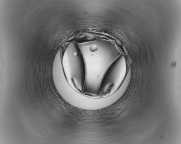 X0000089971298200707271913