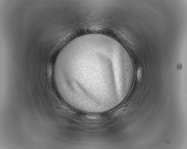 X0000089971299200707271913