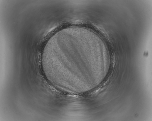 X0000089971301200707271913