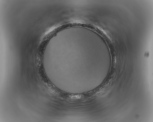 X0000089971303200707271913