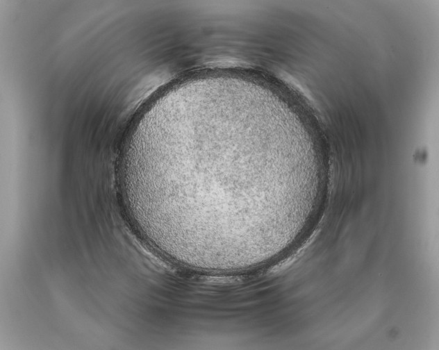 X0000089971305200707271913