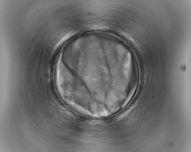 X0000089971306200707271913