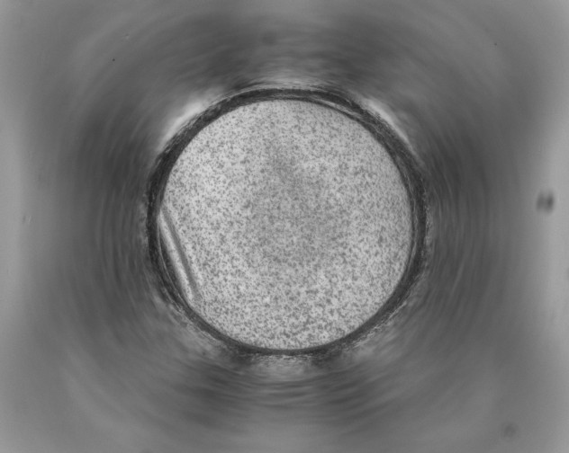 X0000089971307200707271913