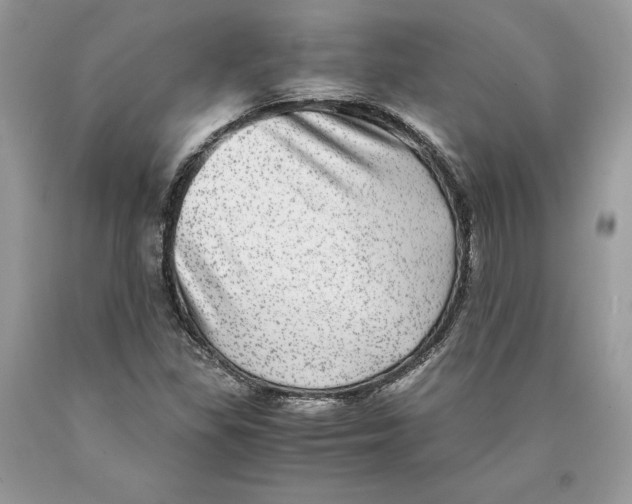 X0000089971309200707271913