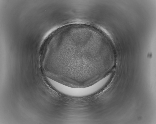 X0000089971310200707271913