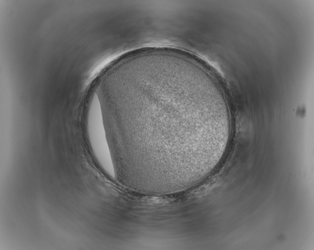 X0000089971311200707271913