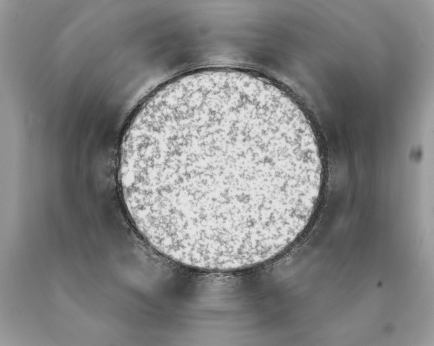 X0000089971314200707271913