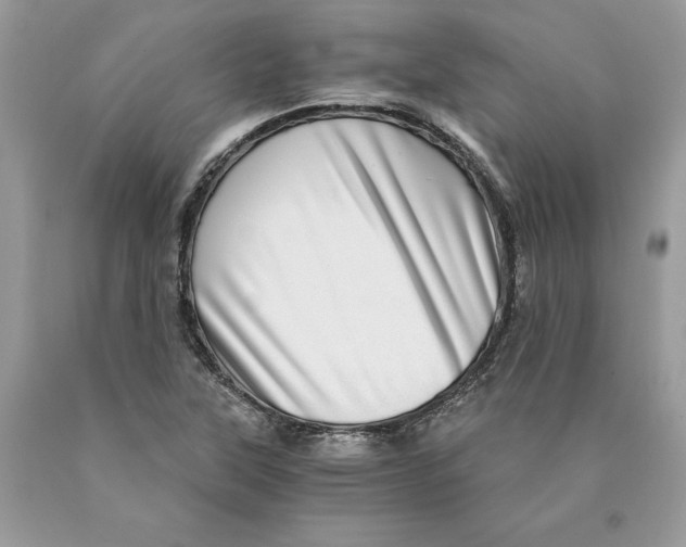 X0000089971315200707271913