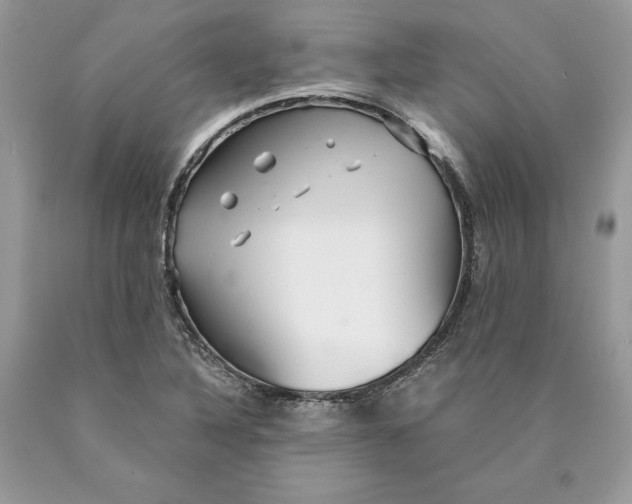 X0000089971316200707271913