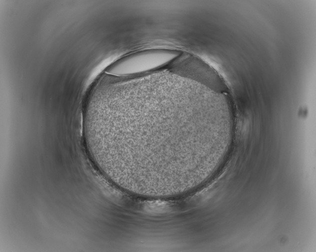 X0000089971317200707271913