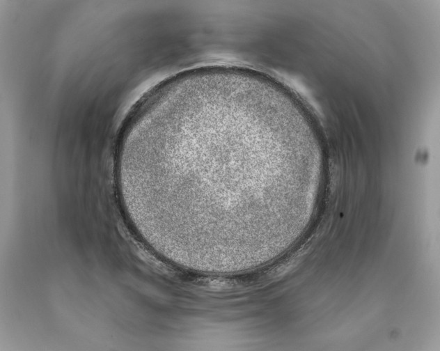 X0000089971318200707271913