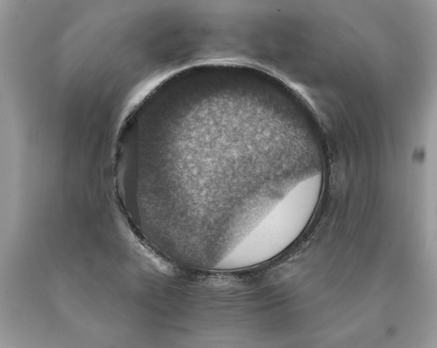 X0000089971319200707271913