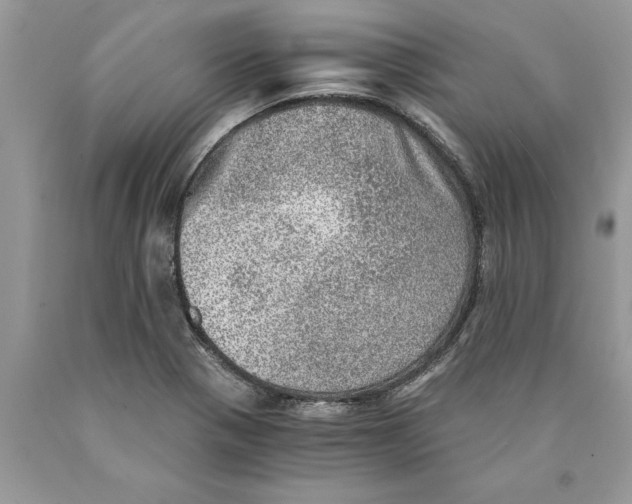 X0000089971321200707271913