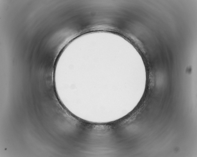 X0000089971322200707271913