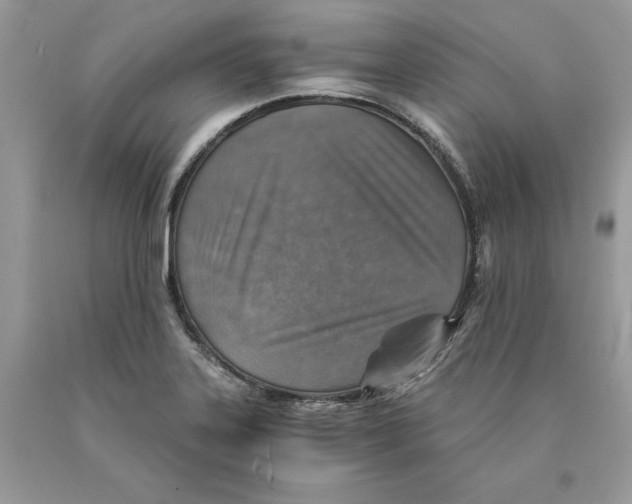 X0000089971323200707271913