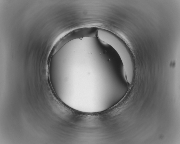 X0000089971324200707271913