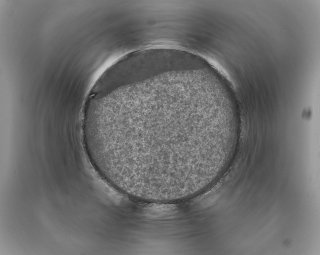 X0000089971325200707271913