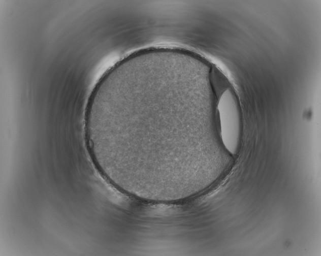 X0000089971327200707271913