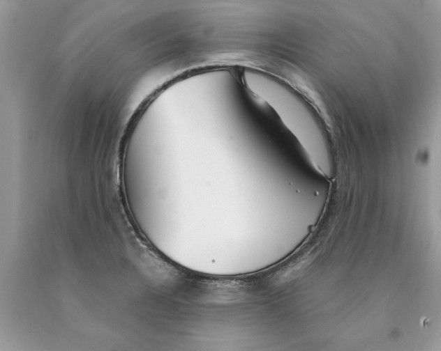 X0000089971328200707271913