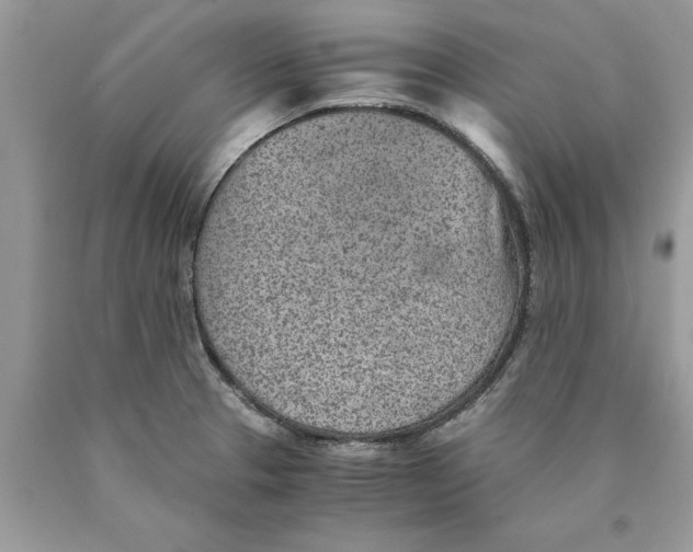 X0000089971329200707271913