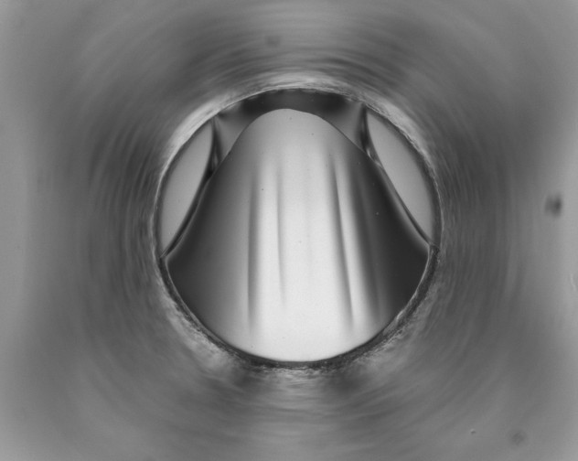 X0000089971330200707271913