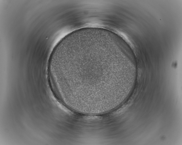 X0000089971331200707271913