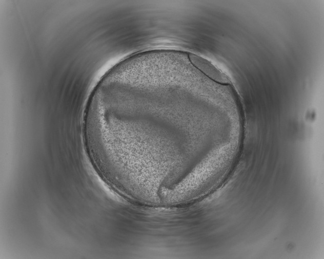 X0000089971333200707271913