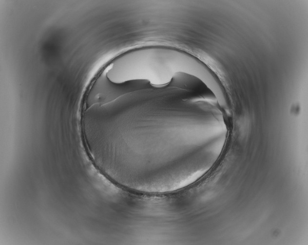 X0000089971334200707271913