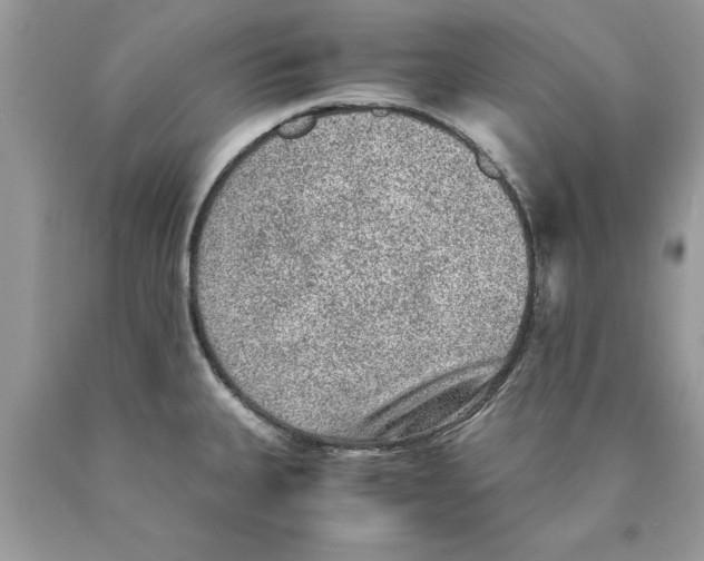 X0000089971335200707271913