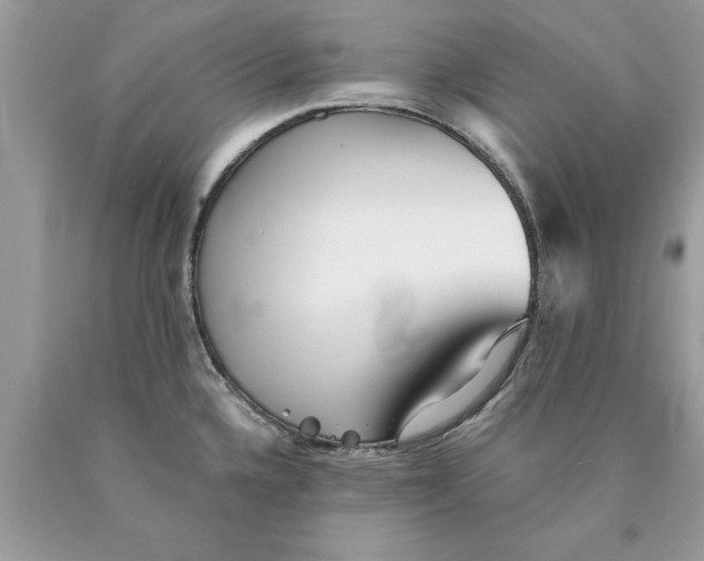 X0000089971336200707271913