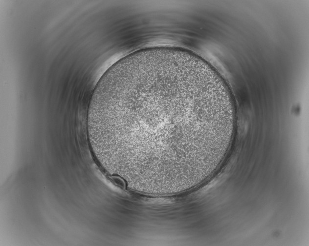 X0000089971337200707271913